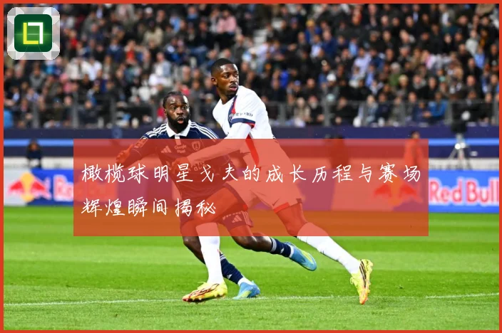 橄榄球明星戈夫的成长历程与赛场辉煌瞬间揭秘