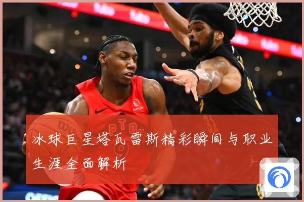 冰球巨星塔瓦雷斯精彩瞬间与职业生涯全面解析