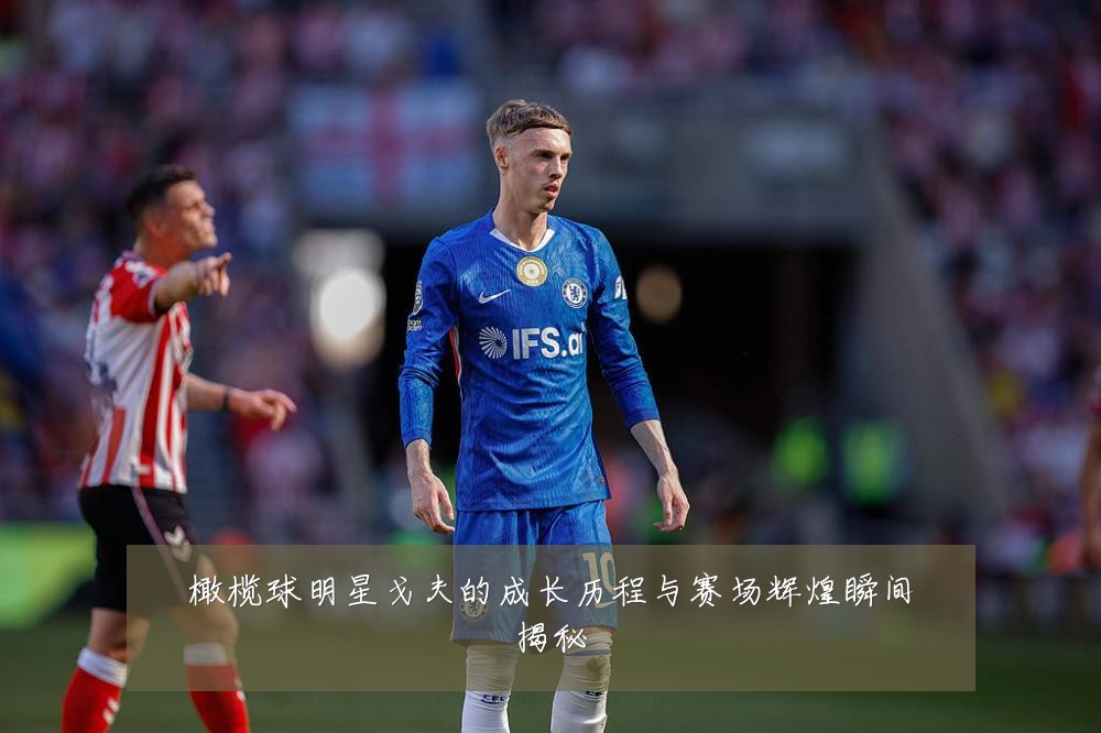 橄榄球明星戈夫的成长历程与赛场辉煌瞬间揭秘