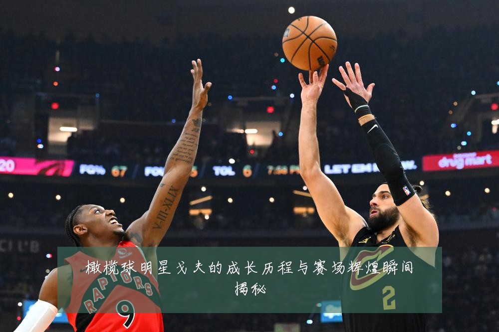 橄榄球明星戈夫的成长历程与赛场辉煌瞬间揭秘